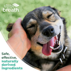TropiClean Fresh Breath Toothbrush and Toothpaste Kit for Dogs, Teeth Cleaning Kit for Plaque & Tartar Removal, Breath Freshener, Dog Dental Care