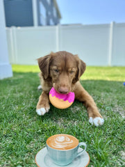 Nylabone Donut Power Chew Toy for Dogs, Dog Toys for Aggressive Chewers, Bacon Glazed Flavor