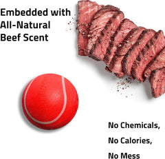 Playology Squeaky Chew Ball for Dogs | Engaging All-Natural Beef Scented Toy for Medium Dogs up to 50lbs | Squeak, Fetch, and Play