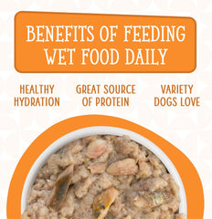 Weruva Dogs in The Kitchen, Goldie Lox with Chicken & Wild-Caught Salmon Au Jus Dog Food (Pack of 12)