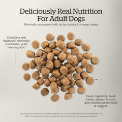 Now Fresh Grain-Free Dry Dog Food with Turkey, Salmon & Duck, Healthy Kibble for Adults Made with Real Meat & Fish, Chicken-Free, Enhanced with Pumpkin & Probiotics for Good Digestion