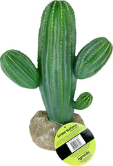 Multi Pet 48593324: Komodo Cactus Plant Saguaro, 9.5In