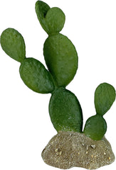 Multi Pet 48593322: Komodo Cactus Plant Prickly Pear, 6.3In