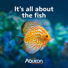 Aqueon AquaPacs Ammonia Reducer 4 Pack, 10 Gallon