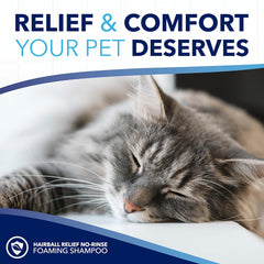 TropiClean Oxymed Waterless Cat Shampoo and Conditioner | A No-Rinse Cat Wash for Hairball Relief |