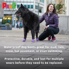 Pawz Purple Water-Proof Dog Boots, 12 Disposable-Reusable Boots
