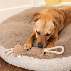 SPOT Dura-Fused Leather Bone Tug Dog Toy – Real Leather & Jute Fabric, Double-Stitched & Durable, Squeaky Interactive Tug Toy with Double Rope Handle for Moderate Chewers, Soft Stuffed Fetch Toy, 18in