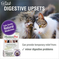 HomeoPet Feline Digestive Upsets, Safe and Natural Cat Digestive Support, 15 Milliliters