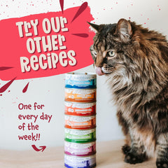 Earthborn Holistic RanchHouse Stew Grain-Free Moist Cat Food 5.5 oz Can