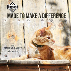 Diamond Maintenance Dry Cat Food