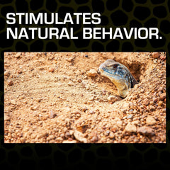 Exo Terra Outback Red Stone Desert Substrate 44 lb