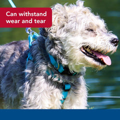 New Earth Soy Adjustable Dog Collar