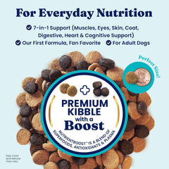 Solid Gold Lamb Dog Food Dry for Adult & Senior Dogs– High Protein Healthy Dog Kibble for Medium & Large Breeds – Whole Grain, Omega 3 & Probiotics for Gut Health & Digestion – Nutrientboost 24-lb