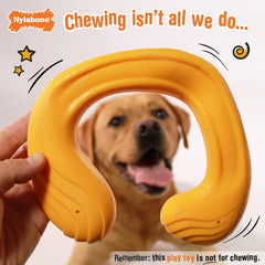 Nylabone C-Shuu Interactive Dog Toy – Lightweight Squishy Dog Chase Toy for Creative Play & Dog Exercise