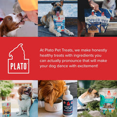 PLATO Pet Treats Dog Food Toppers - Air-Dried Dog Food Toppers for Dry Food - with Collagen to Support Skin and Coat Health - Chicken and Collagen Recipe