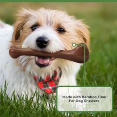 SPOT Bam-Bones Bone - Made with Strong Bamboo Fiber, Durable Long Lasting Dog Chew for Light to Moderate Chewers, Great Toy for Adult Dogs & Teething Puppies Under 25lbs, Bacon Flavor