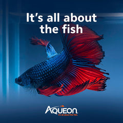 Aqueon PURE Betta Beads, Water Care for Unfiltered Aquariums, Maintains Clear Water and Helps Breakdown Organic Sludge
