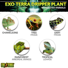Exo Terra Dripper Plant