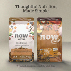 Now Fresh Good Gravy, Bone Broth Coated Kibble, Dry Dog Food, Salmon Adult Recipe with Grains, All Breed Size