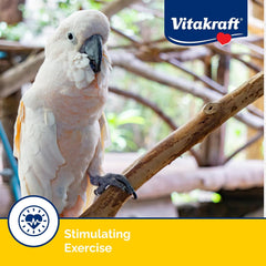 Vitakraft Crunch Sticks Apricot & Cherry Flavor Bird Treat for Parrots