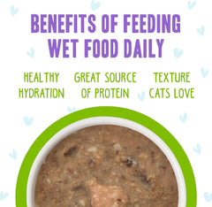 Weruva B.F.F. OMG - Best Feline Friend Oh My Gravy!, Selfie Cam! with Chicken & Lamb in Gravy Cat Food, 2.8oz Can (Pack of 12)