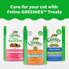 FELINE GREENIES Natural Dental Care Cat Treats 275-11 oz