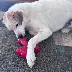 SPOT ethischen Pets Trident 6 Spielzeug, 15,2 cm, Rot