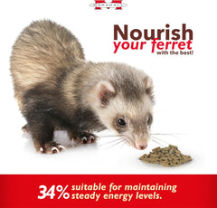 Marshall Pet Products Premium Ferret Diet Dry Food