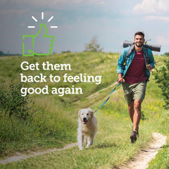 Canine Aspirin for Dogs | Fast Pain Relief | Small to Medium Dogs | Liver Flavor | 75 Chewable Tablets