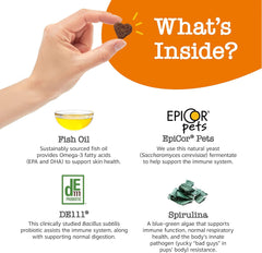 Zesty Paws Vet Strength Dog Allergy Relief Chews, Dog Probiotics for Itchy Skin and Ears, Smoked Cheese, 90ct