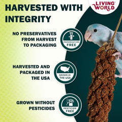 Living World - Millet Spray for Birds, Premium Treat for Budgies, Canaries, Finches, Cockatiels and Other Pet Birds