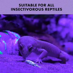 Zilla Cricket Glow Powder — add to Reptile Food for a Fun Twist, More exciting Than Plain Calcium Powder Fluoresces Under Black Light, Ideal for Insectivores, 4 Ounces