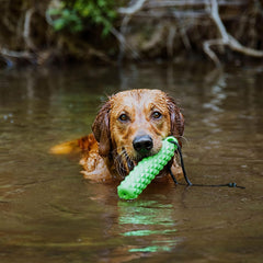 Playology Hound2O Outdoor Dog Toy for Water Adventures | Bright Green Floating Rope Bumper for Throwing and Retrieving | Durable Toy Made from Non-Toxic Materials