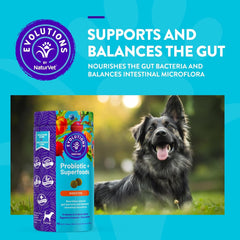NaturVet Evolutions Probiotic & Superfoods 90ct Soft Chews for Dogs - Prebiotic & Probiotic Blend, Digestive Enzymes, Bone Broth, Omega's - Nourishes Natural Gut Bacteria and Intestinal Microflora
