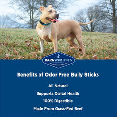 Barkworthies Odor-Free Bully Stick Treat, 6", (Pack Of 5)