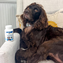 Ark Naturals® Happy Traveler® Capsules for Cat & Dog 30 Count