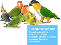 Tropimix Bird Food for Cockatiels and Lovebirds, Hagen Parrot Food with Seeds, Fruit, Vegetables, Vitamins & Amino Acids, 8 Pound (Pack of 1)
