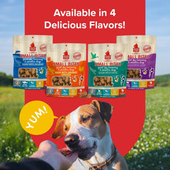 PLATO Small Bites Dog Treats, Natural Bite Sized Real Meat & Chicken Flavor, Grain Free & High in Protein, Air Dried Authentic Ingredients, 2 Calories Per Treat, Made in the USA
