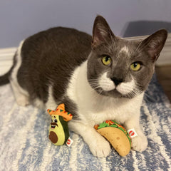 SPOT Ethical Products Mexican Take Out 2 Pack Assorted