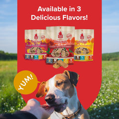 PLATO Turkey Real Strips Natural Dog Treats - Real Meat - Air Dried - Made in the USA - Turkey & Cranberry