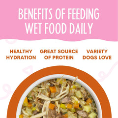 Weruva Meals 'n More Natural Wet Dog Food, Wok The Dog Plus Digestive Support (Pack of 12)