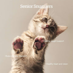 Now Fresh Grain-Free Senior Dry Cat Food with Turkey, Salmon & Duck, Premium Kibble Made with Real Meat & Fish, Chicken-Free Recipe, Supports Healthy Weight Management