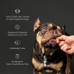 Get Joy Freeze Dried Superfood 100% Beef Heart Dog Treats, Single Ingredient Organ Meat, High Protein, Heart Health, Energy, Muscle Repair, Grain Free & Gluten Free, Made in USA