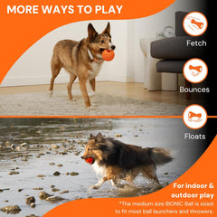 BIONIC Ball Dog Toy, Large - Interactive Dog Chew Toy That Stands Up to The Toughest Chewers