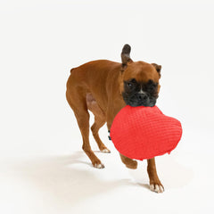 Playology Plush Crinkle Disc for Large to X-Large Dogs 50lbs & up | Engaging All Natural Beef Scented Plush Dog Toy | Fun Crinkle for Extended Play | Easy to Clean, Interactive & Non-Toxic