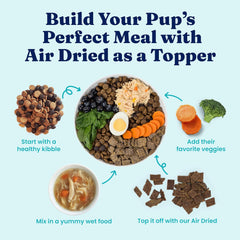 Solid Gold Air Dried Dog Food Toppers for Picky Eaters - Healthy Dog Treats Made with Real Chicken to Serve as Meal Topper or Dog Treat - Supports Muscle Growth, Immunity, and Healthy Digestion 1-lb