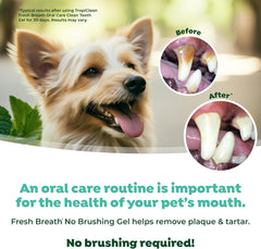 TropiClean Fresh Breath Dog Toothpaste for Teeth Cleaning, Breath Freshener, Easy to Use Plaque & Tartar Remover Gel