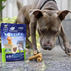 Ark Naturals Fortify Brushless Toothpaste, Dog Dental Chews for Large Breeds, Calcium Plus Omegas Support Strong Teeth and Immune Health