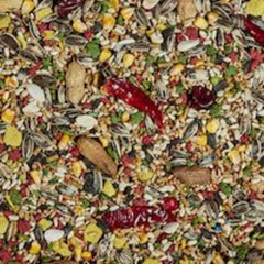 Forti-Diet Kaytee Forti Parrot Treat, 5 Lb