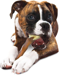 Nylabone Femur Bone Alternative Power Chew Toy for Dogs, Dog Toys for Aggressive Chewers